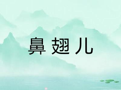 鼻翅儿