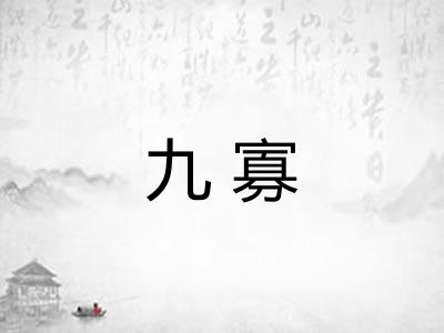 九寡