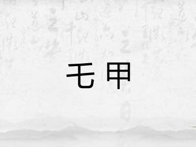 乇甲