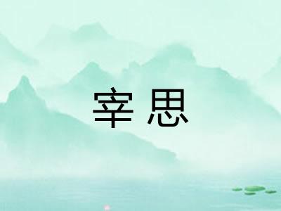 宰思