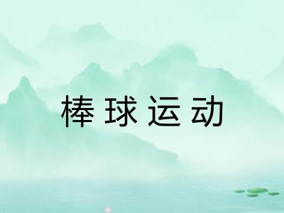 棒球运动