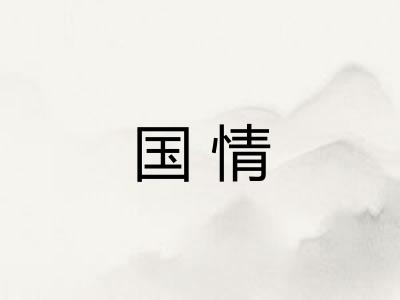 国情