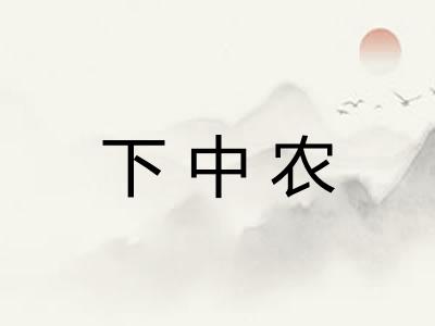 下中农 下中农
