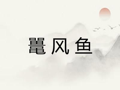鼍风鱼