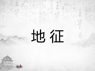 地征 地征