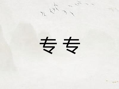 专专