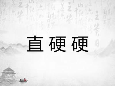 直硬硬