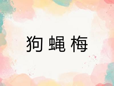 狗蝇梅