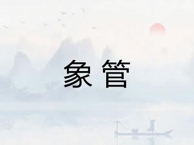 象管