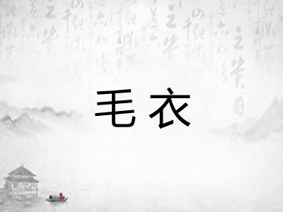 毛衣
