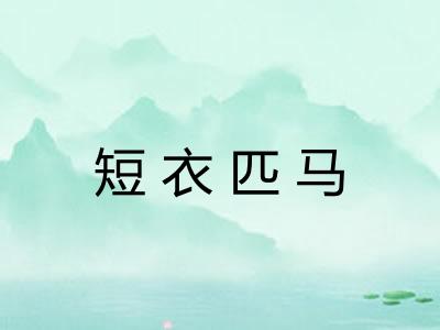 短衣匹马