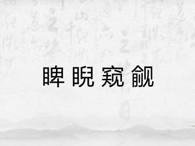 睥睨窥觎