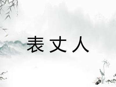 表丈人