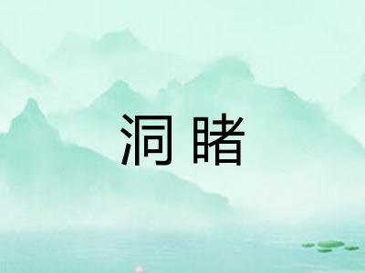 洞睹