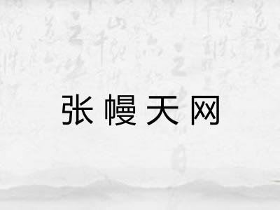 张幔天网