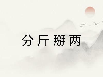 分斤掰两