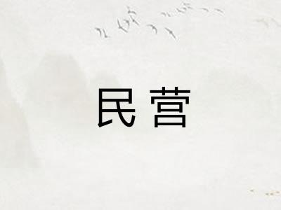 民营