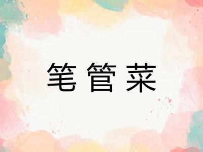 笔管菜
