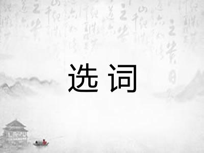 选词