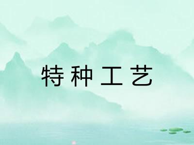 特种工艺