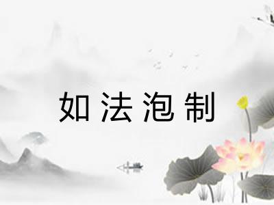 如法泡制 如法泡制