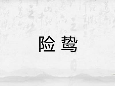险鸷