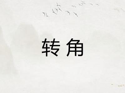 转角 转角