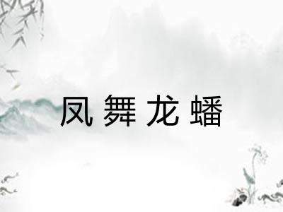 凤舞龙蟠