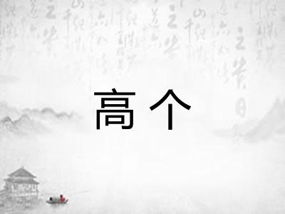 高个