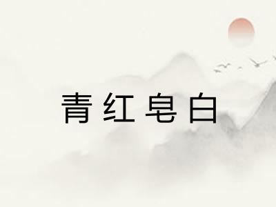 青红皂白