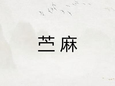 苎麻
