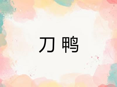 刀鸭