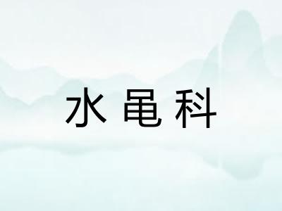 水黾科