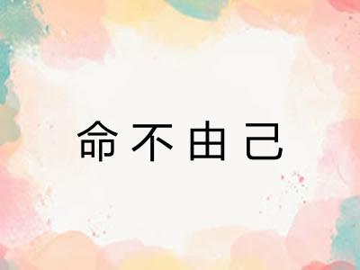 命不由己