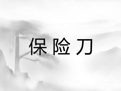 保险刀