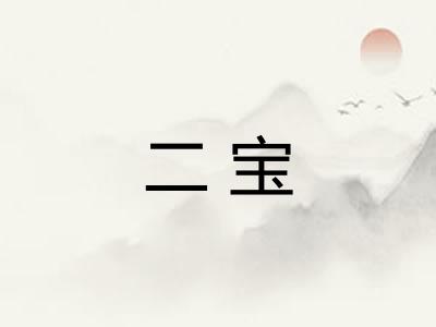 二宝
