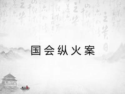 国会纵火案 国会纵火案