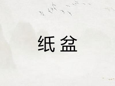 纸盆