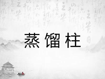 蒸馏柱