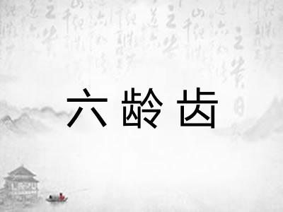 六龄齿