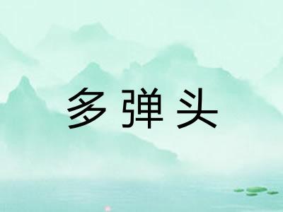 多弹头