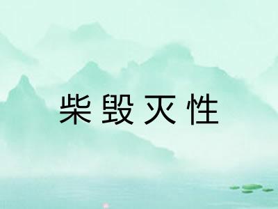 柴毁灭性 柴毁灭性