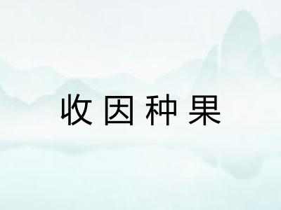 收因种果
