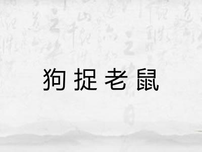 狗捉老鼠