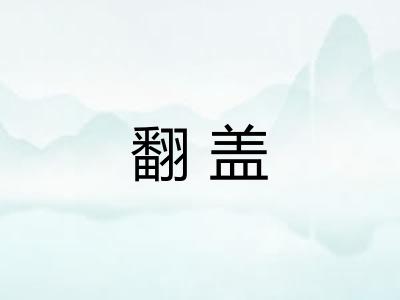 翻盖