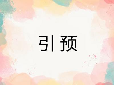 引预