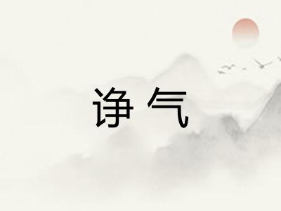 诤气