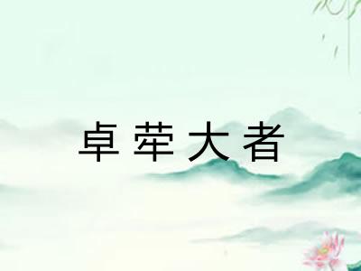 卓荦大者