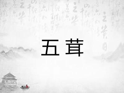 五茸