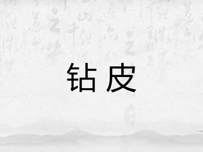 钻皮